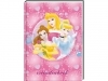 vriendenboek disney Prinses