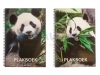 Plakboek Papyrus 23x33cm panda