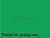 Kopieerpapier Fastprint A4 80gr grasgroen 500vel